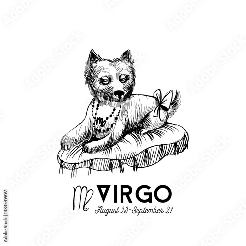 funny dogs zodiac signs