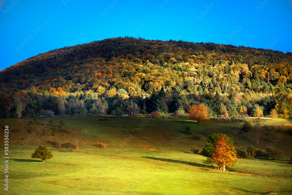 Fototapeta premium autumn in the mountains