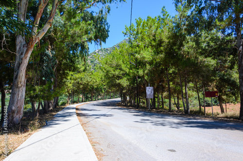 road between young pines. View of the mountain peak against the blue sky