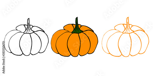 Pumpkin set illustration (line art). Perfect for your halloween/thanksgiving/organic natural design. Vector eps10, objects isolated on white background.
