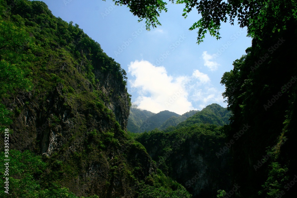 Obraz premium Beautiful view of the green forest and the hill