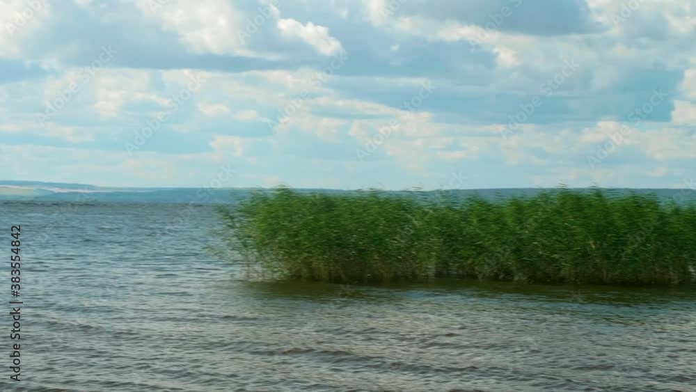 Flock of birds is flying over the water in river on sunny summer afternoon. Flock of birds is flying over the water in river on sunny summer afternoon.