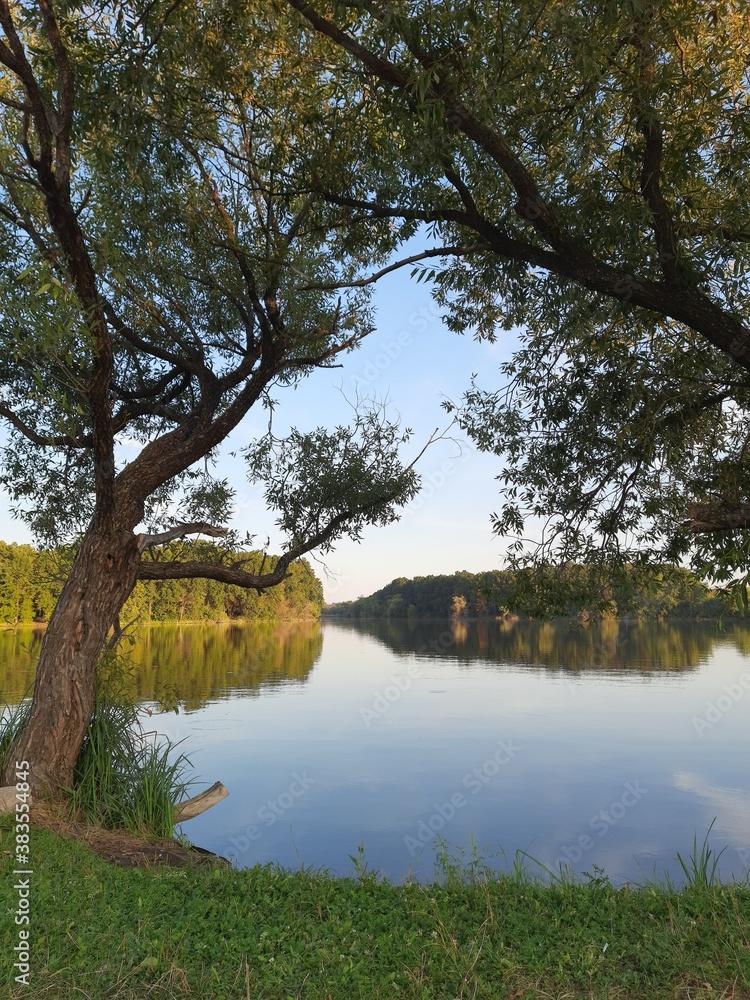 landscape with trees landscape with trees