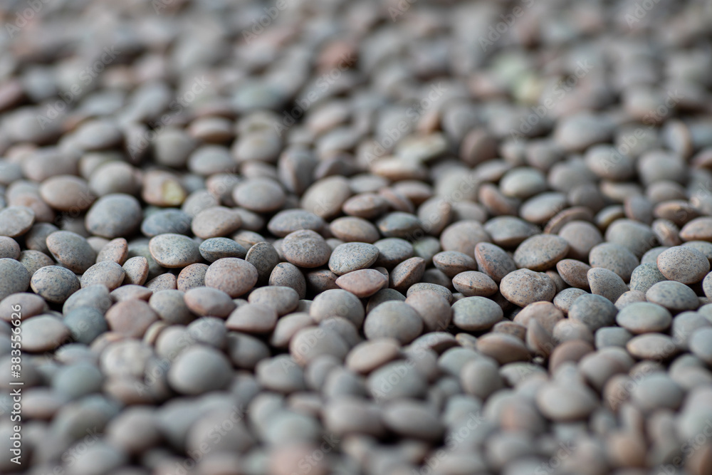 Brown lentils as background. Perspective Brown lentils as background. Perspective