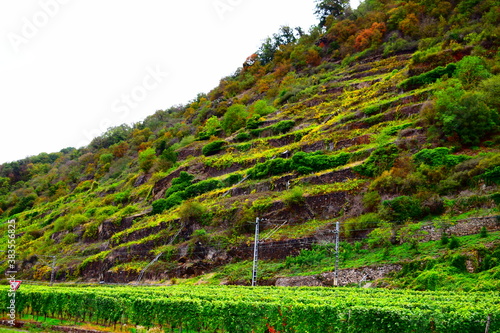 Herbst im Moseltal, Lehmen im Oktober photo