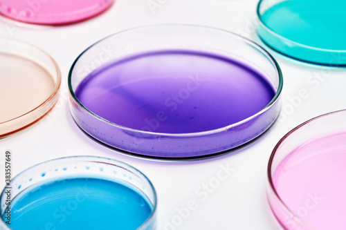 Colorful Petri dish with media in a microbiology laboratory. Chemical research with different liquids.