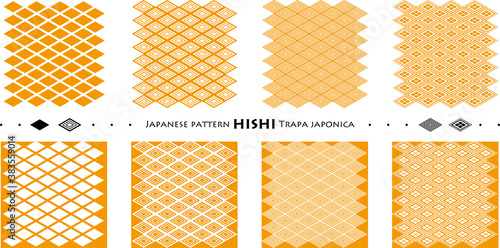 Japanese pattern HISHI Trapa japonica_seamless pattern_c08