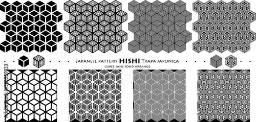 Japanese pattern HISHI Trapa japonica_cubes sans fond arrange_seamless pattern_c01