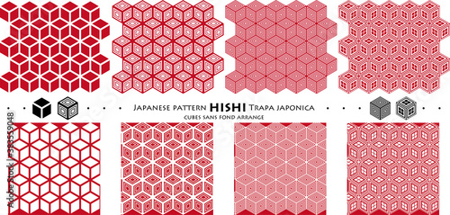Japanese pattern HISHI Trapa japonica_cubes sans fond arrange_seamless pattern_c02