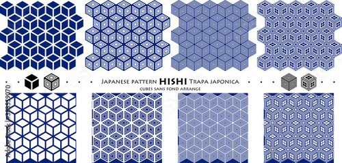 Japanese pattern HISHI Trapa japonica_cubes sans fond arrange_seamless pattern_c03