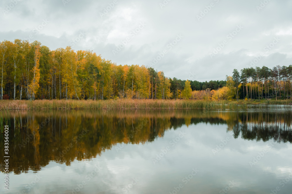 Landscape of a beautiful lake at the edge of the forest