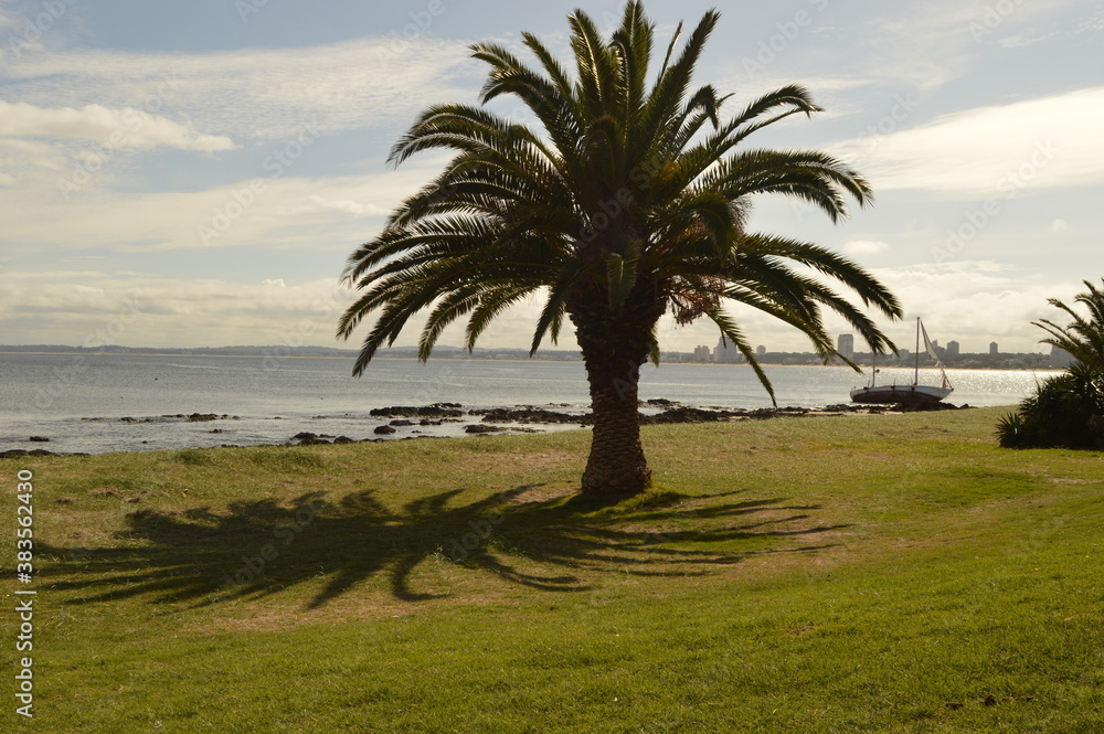 The beautiful coastline of Punta del Este and Colonia de Sacramento in Uruguay The beautiful coastline of Punta del Este and Colonia de Sacramento in Uruguay