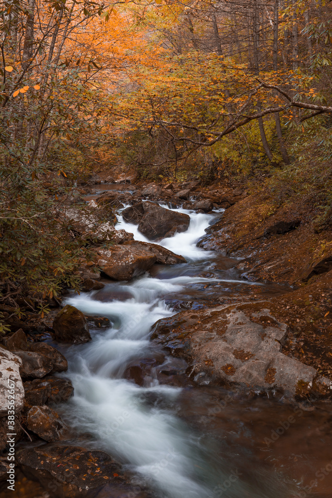 Autumn forest in Pisgah Forest, North Carolina. Autumn forest in Pisgah Forest, North Carolina.
