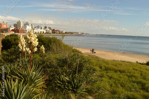 The beautiful coastline of Punta del Este and Colonia de Sacramento in Uruguay © ChrisOvergaard