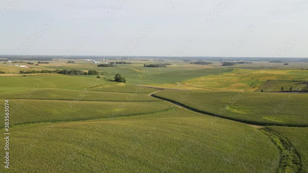 farm corn fields in south minnesota farm corn fields in south minnesota