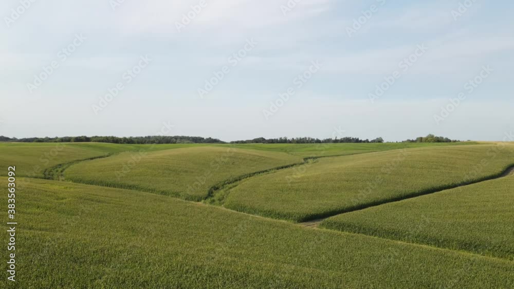 country side in south minnesota midwest during summer time aerial view, farms and corn fields country side in south minnesota midwest during summer time aerial view, farms and corn fields