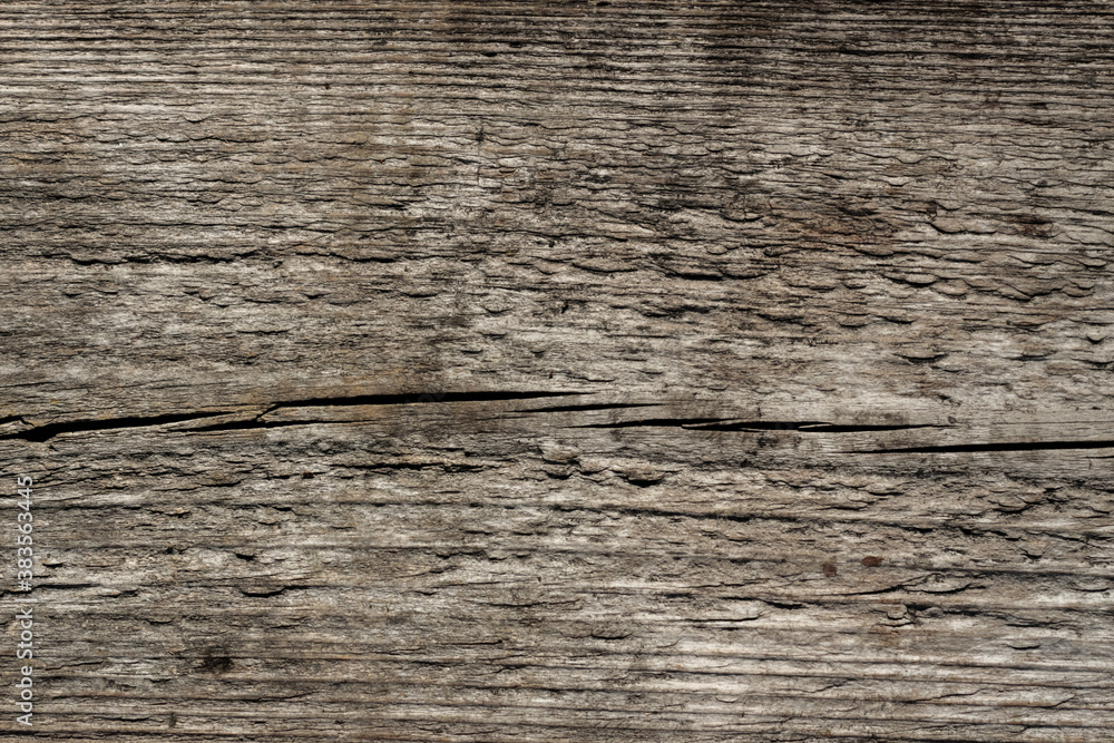The brown old wood texture. Pine, design. The brown old wood texture. Pine, design.