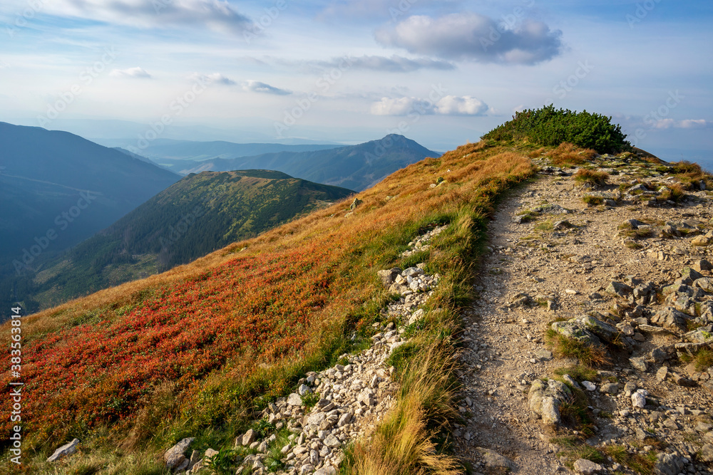 Fototapeta premium Mountain meadows in the Western Tatras. Slovakia.