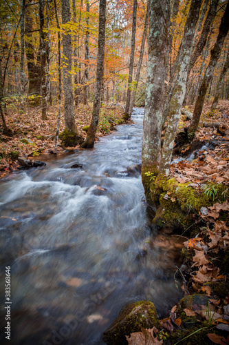 Small stream wanders through Cataloochee forest in Autumn.