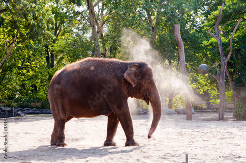 slon zoo berlin