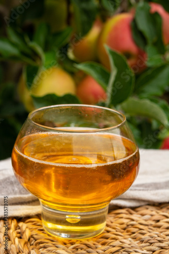 Glass of apple cider from Normandy, France and green apple tree with ripe red fruits on background