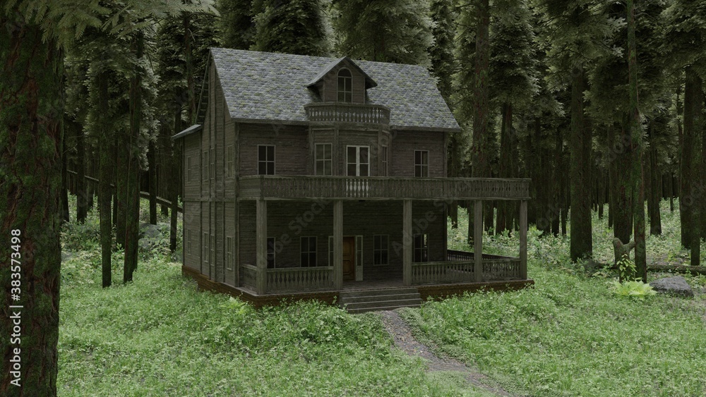 Old House in The Woods Old House in The Woods