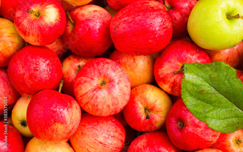 apples, apple crop
