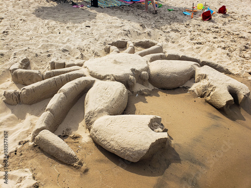 sand crab