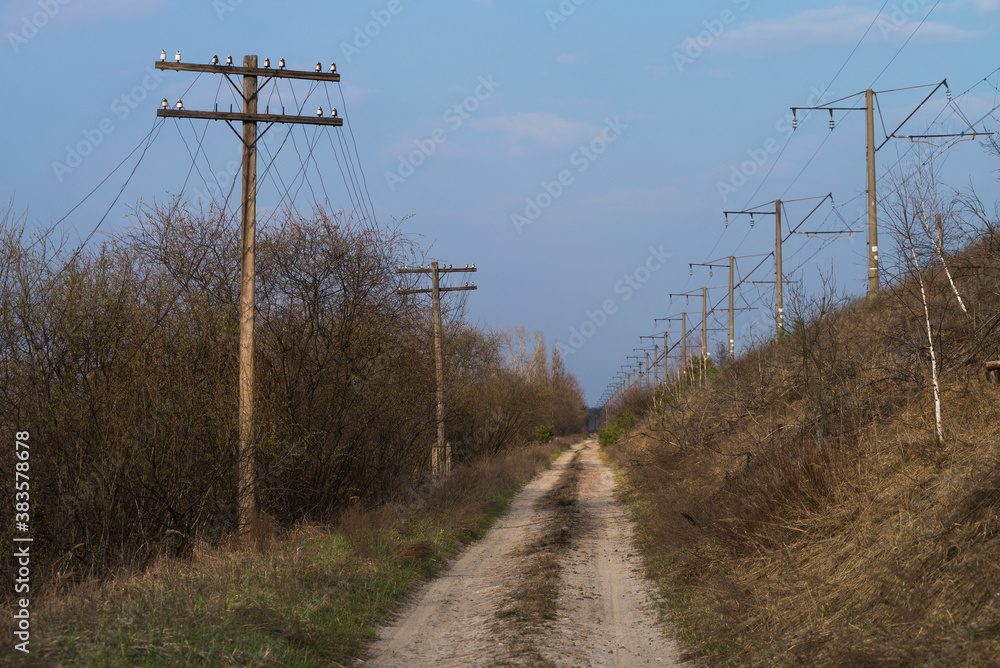 Road in Chernobyl exclusion zone