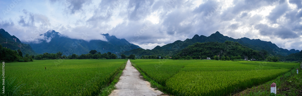 Terraced rice field with rural road in Lac village, Mai Chau Valley, Vietnam, Southeast Asia. Terraced rice field with rural road in Lac village, Mai Chau Valley, Vietnam, Southeast Asia.