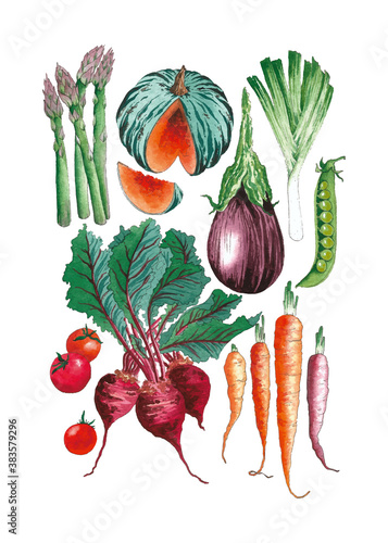 Organic healthy vegetables set watercolor illustration