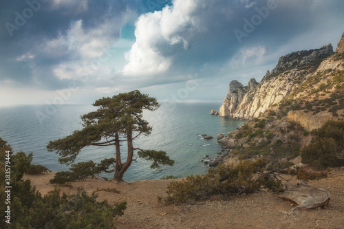 Beautiful tree and mountain on a cloudy day