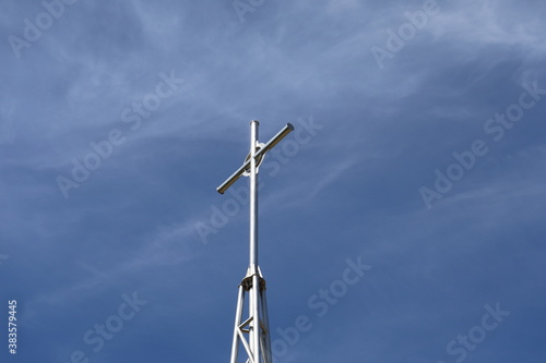 Fototapeta Naklejka Na Ścianę i Meble -  Smerek