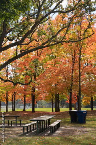 Fototapeta Naklejka Na Ścianę i Meble -  A Bench for relax around beautiful autumn leaves at the High Park in Toronto Ontario Canada