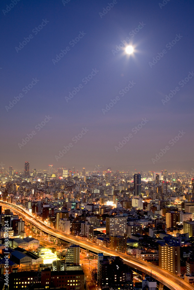 Fototapeta premium 大阪西区と中央区の夜景