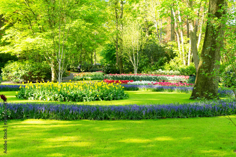 Fototapeta premium fresh lawn with flowers