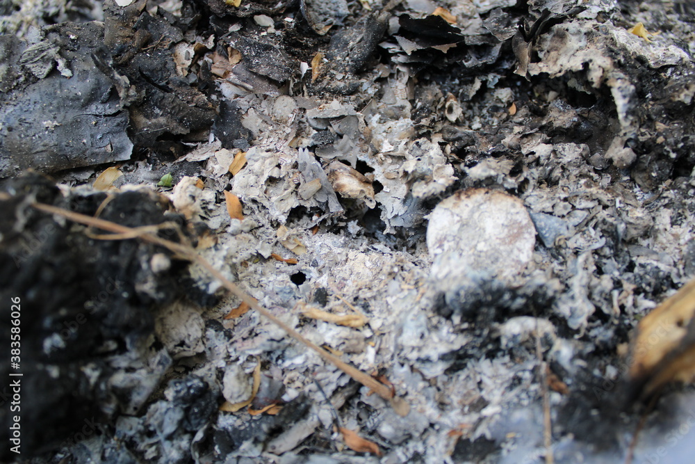 ash on the ground ash on the ground