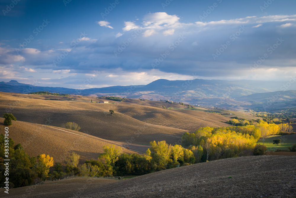 autumn landscape with hills and yellow trees, italy, tuscany