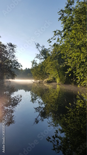 reflection of trees in water