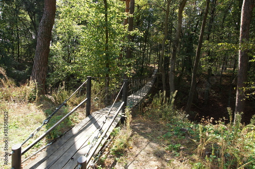 Suspension bridge