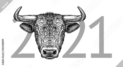 black and white engrave isolated bull vector illustration