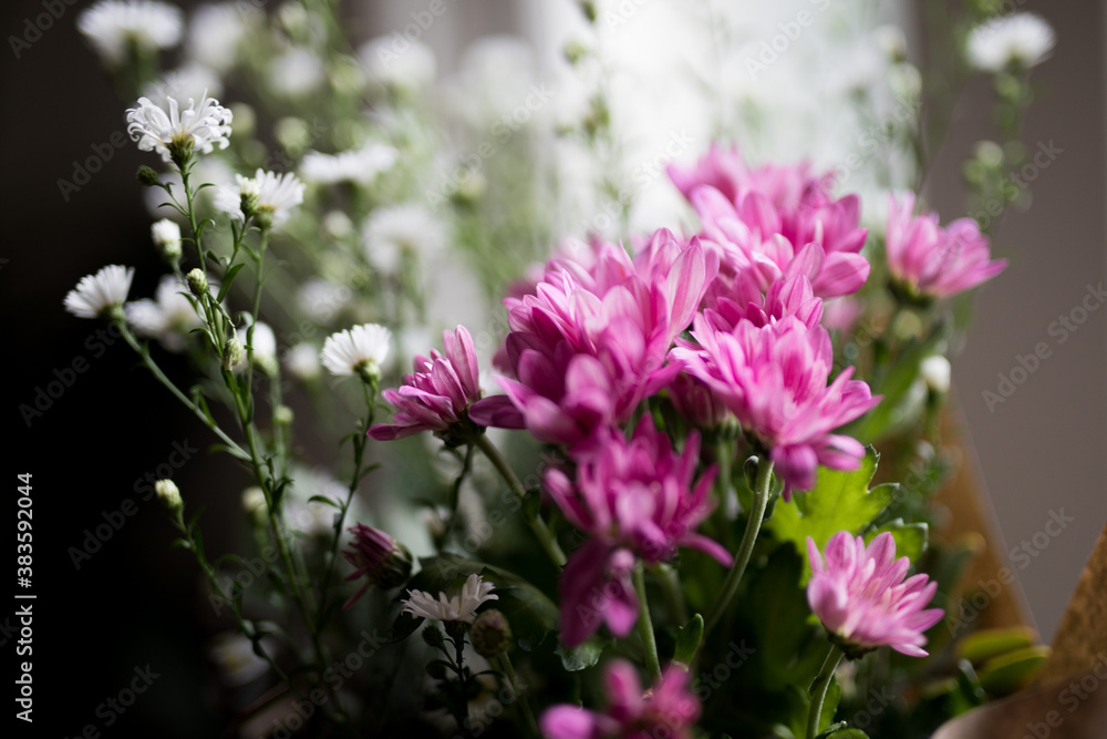 Close up of flowers with blurred background Close up of flowers with blurred background