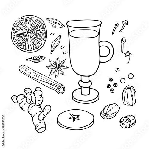 Mulled wine ingredients set. Hand drawn Winter elements. Doodle Outline vector illustration. Hot winter drink recipe. Organic product sketch. Christmas drinking. Flavor cooking ingredient.