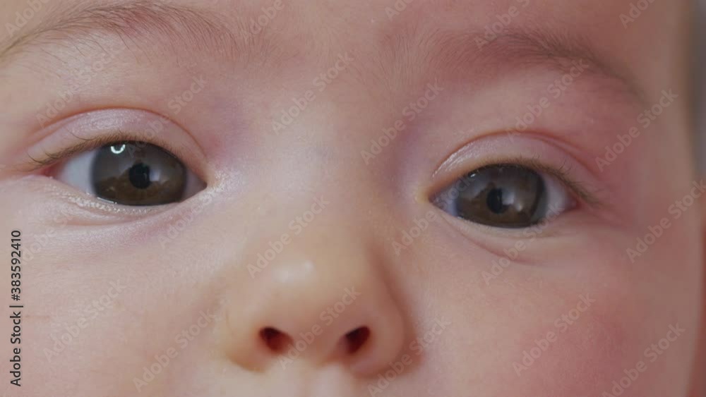 Newborn closeup of eyes observing the world. Newborn closeup of eyes observing the world.