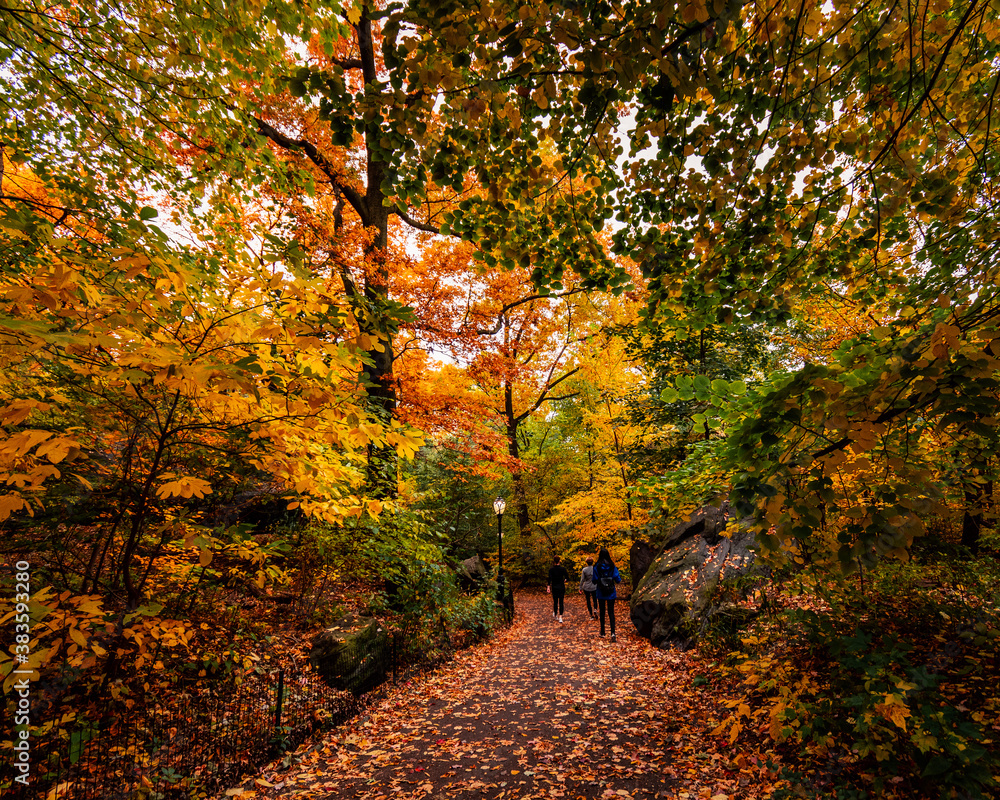 Fall in New York City in Central Park in November 2018