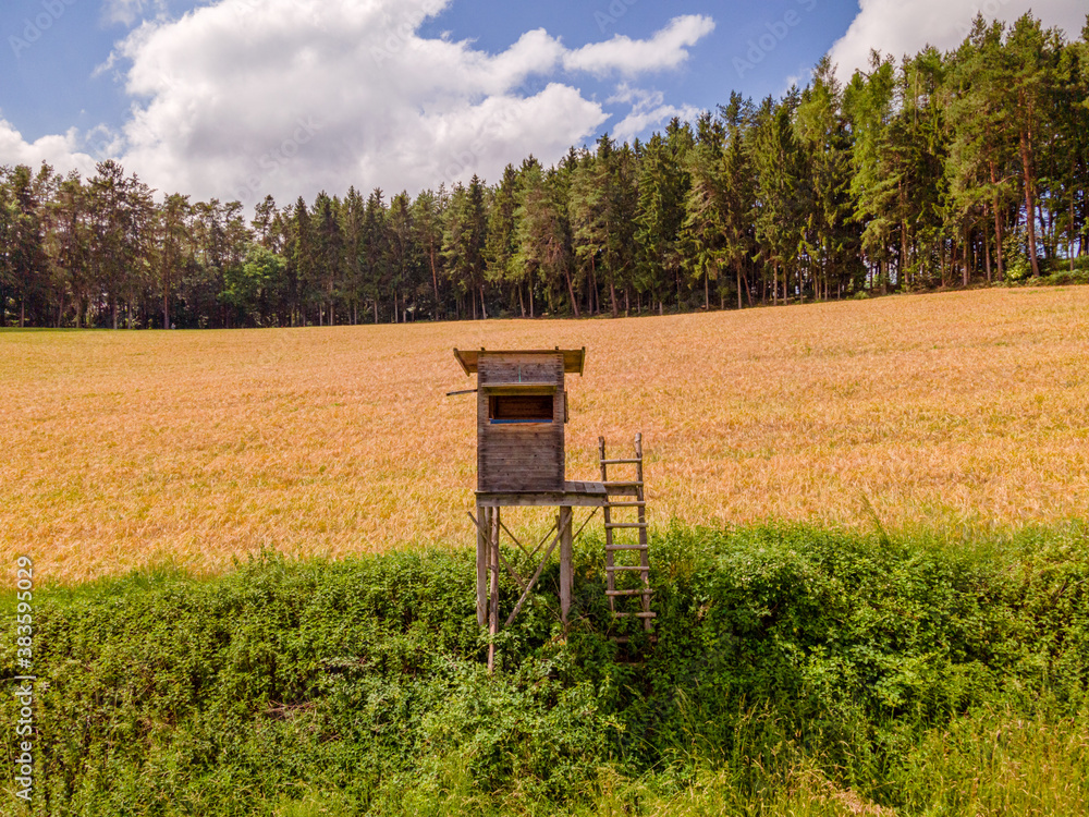 High seat for hunting during summer phase High seat for hunting during summer phase