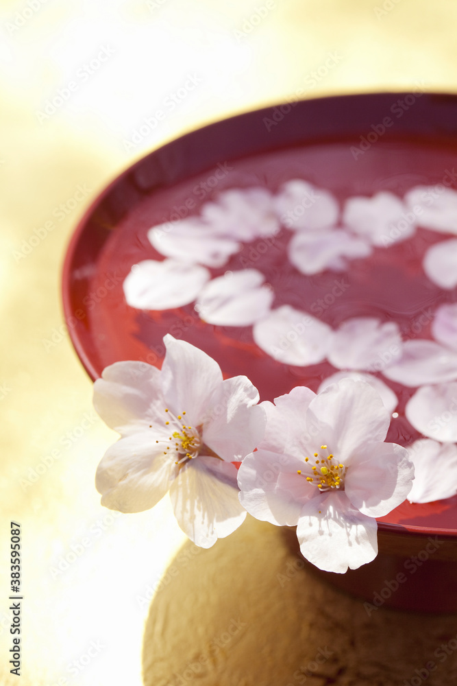 桜の花びらと杯 桜の花びらと杯