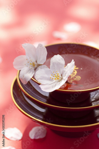 桜の花びらと杯