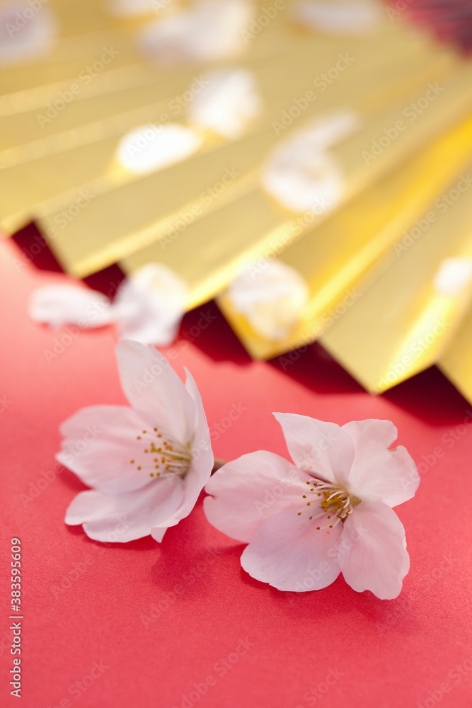 桜の花びらと金扇子 桜の花びらと金扇子