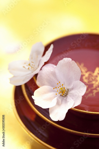 Wallpaper Mural 桜の花びらと杯 Torontodigital.ca